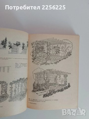 Дворна градина, снимка 8 - Специализирана литература - 51093439