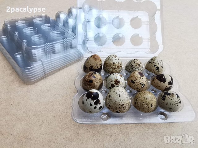 Опаковки за пъдпъдъчи яйца, снимка 6 - Друго търговско оборудване - 9584489