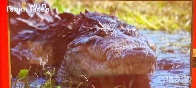 Продавам TV SAMSUNG UE-55JU7500 4К Ultra HD 3D SMART TV, TIZEN, 55.0 ", снимка 4 - Телевизори - 38407154