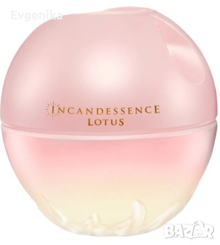 Парфюм Incandessence Lotus - AVON