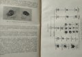 Клинични лабораторни изследвания Ив. Йонков, Ал. Станчев, Ант. Стефанова, Вес. Орешков 1956 г., снимка 4