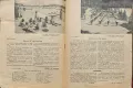 День на детето. Бр. 10 / 1936, снимка 5
