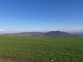 22 дка директно от собственик на главен път Варна-Русе, снимка 1 - Земеделска земя - 37330174