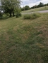 Продавам Дворно място в с Долно Церовене обл Монтана , снимка 4