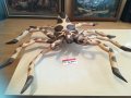 ОГРОМЕН ДЪРВЕН РАК С 8 КРАКА 90Х70СМ 1404211815, снимка 2