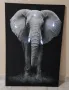 Светеща картина с Led осветление - слон, снимка 2