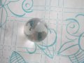 Кристална топка Земно кълбо Глобус, снимка 1 - Колекции - 27608167