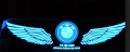 LED стикер CT25 BMW, снимка 3