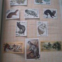Каталог Съветски марки Флора и Фауна , снимка 8 - Филателия - 44048347