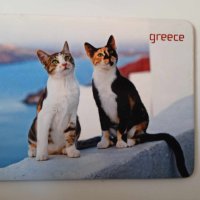 магнит от Гърция с котенца, снимка 1 - Колекции - 43541843