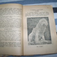 "Ловни кучета" от д-р Алекси Борисов, издание 1949г., снимка 5 - Специализирана литература - 40465990