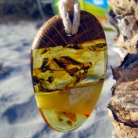 Приказна висулка от естествен балтийски кехлибар / Fabulous Pendant made of Natural Baltic Amber, снимка 9 - Колиета, медальони, синджири - 33332781
