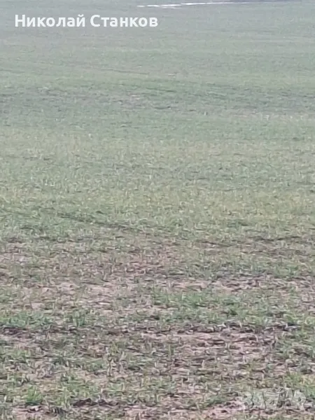 земеделска земя в гр.Ахелой , снимка 1