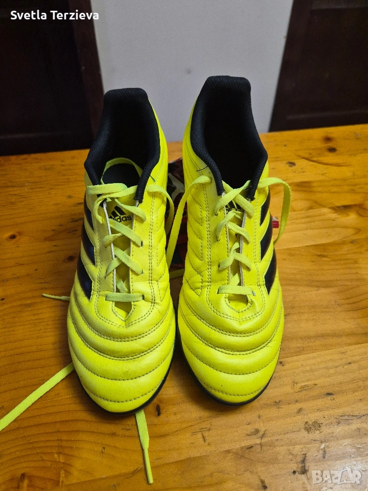 стоножки, снимка 1