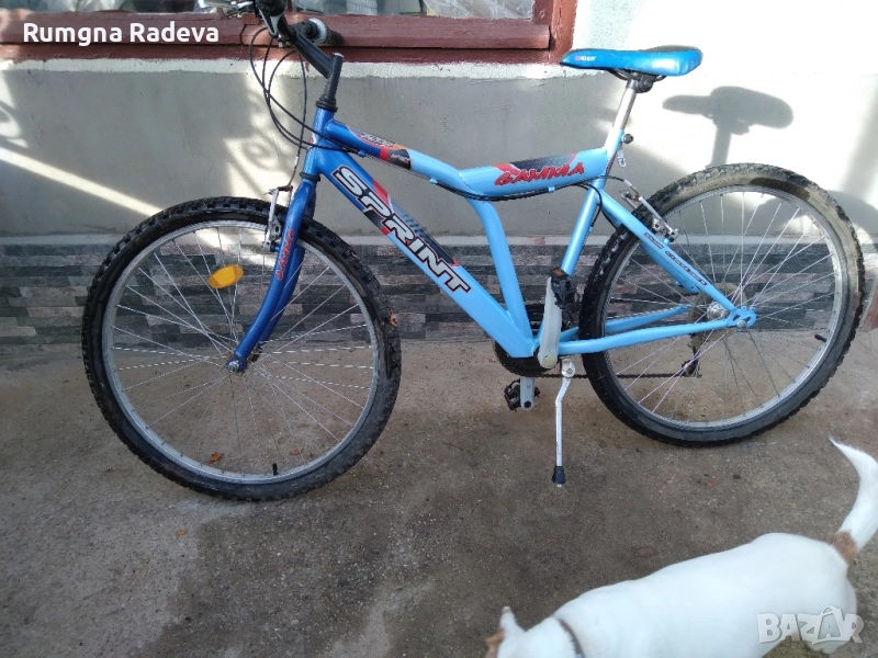 велосипед  Спринт  Гама, снимка 1