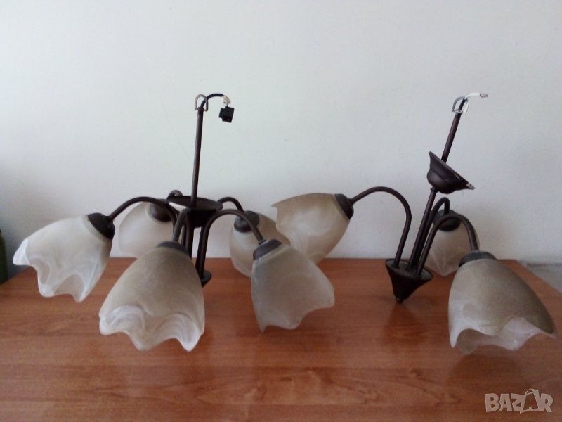 Полилеи, снимка 1