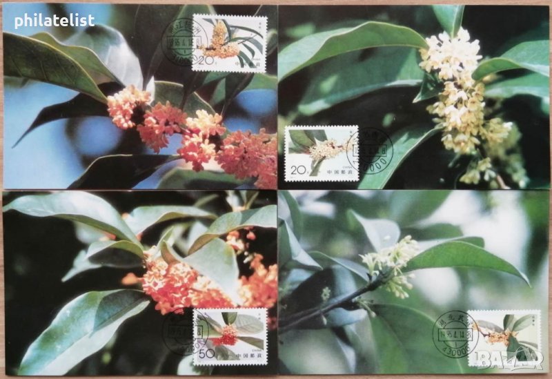 Китай 1995 - 4 броя Карти Максимум - Комплектна серия, снимка 1