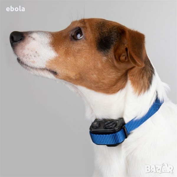 Яка против лаене , снимка 1