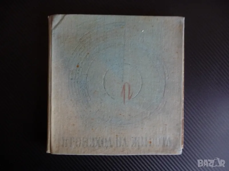 Произход на живота А. И. Опарин Слънчевата система първичните организми, снимка 1