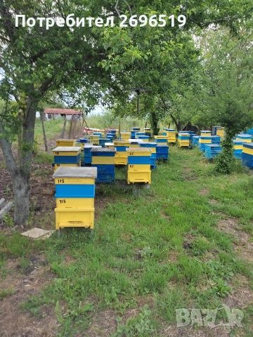продавам пчелин и ивентар, снимка 6 - За пчели - 53222072