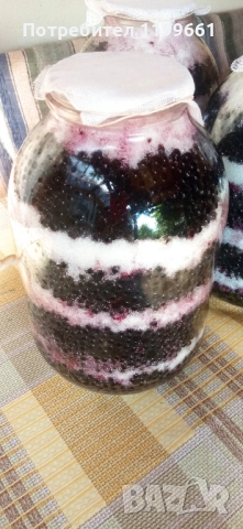 сироп от черен бъз 