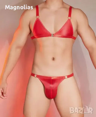 Мъжки комплект бельо Sissy Sheer Bralette   Топ  Бельо, снимка 7 - Бельо - 48550604