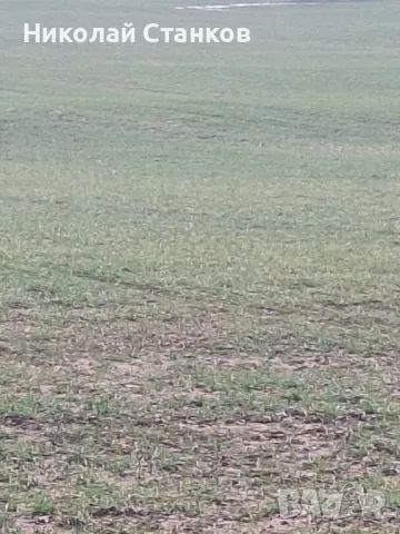 земеделска земя в гр.Ахелой , снимка 1