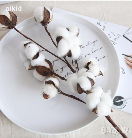 клон клонка клонки клони Натурален памук за аранжиране украса декор изкуствени цветя, снимка 4 - Изкуствени цветя - 28182285