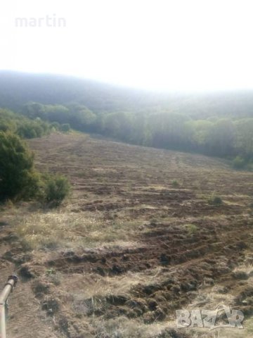 Почистване на пасища, снимка 13 - Селскостопанска техника - 39630131