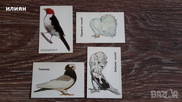 Стари календари на птици 15лв за всички , снимка 5 - Колекции - 38590095