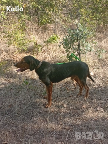 Продавам кьосе барак , снимка 1