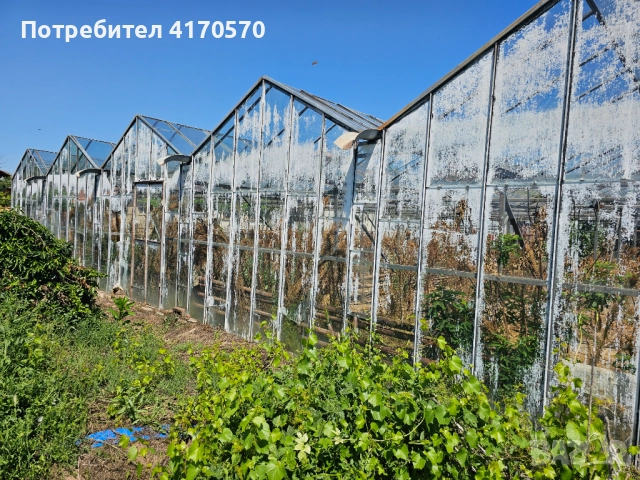 Продава се стъклена оранжерия, снимка 9 - Оранжерии - 51642468