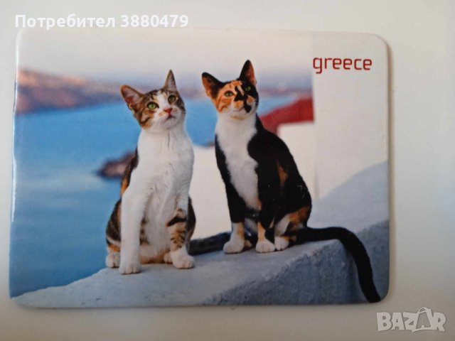 магнит от Гърция с котенца, снимка 1