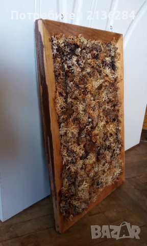 Декоративно пано, снимка 3 - Пана - 37232288