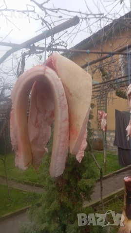 продава се месо и сланина , снимка 4 - Домашни продукти - 52904013