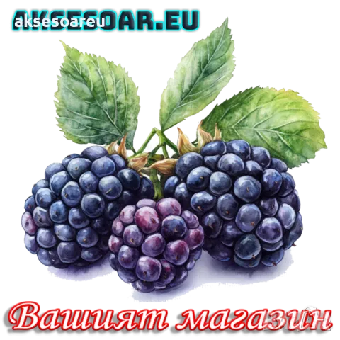 Нови 100 бр Висококачествени органични плодови семена от хранителна Къпина вкусни къпини антиоксидан, снимка 11 - Сортови семена и луковици - 50332727