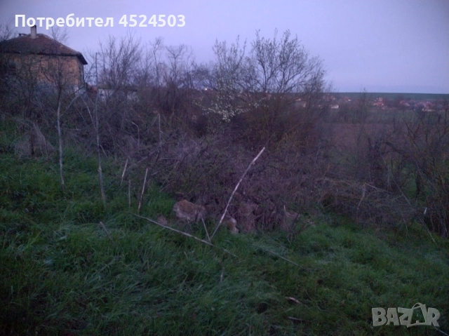 Дворно място село Цани Гинчево, снимка 7 - Парцели - 52354249