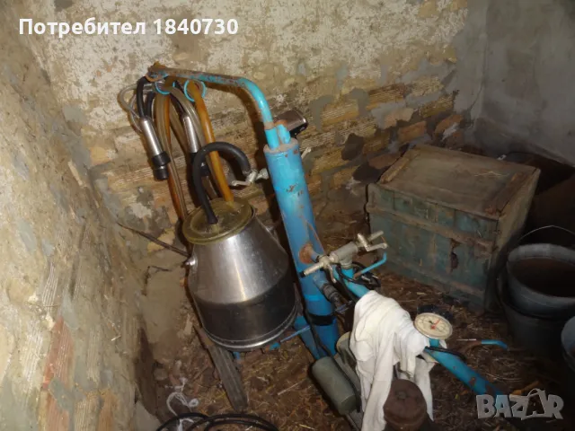 агригат за доене на крави, снимка 2 - Крави - 50390252