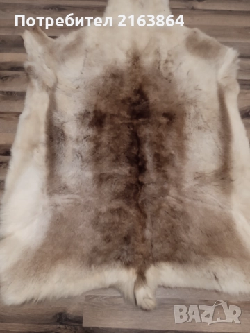 кожа от северен елен, снимка 2 - Декорация за дома - 52728867