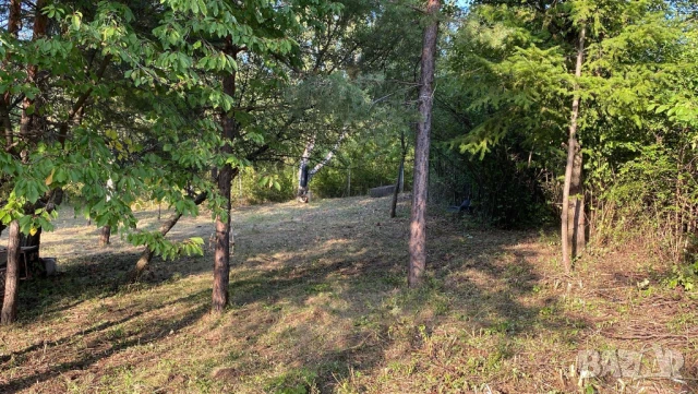 Продавам дворно място в гр. Банкя, местност Мъртвака, 1065 м2, снимка 2 - Парцели - 51089427