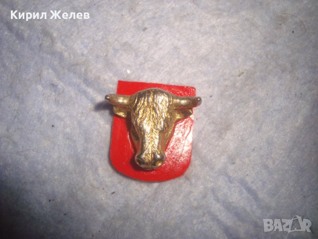 СТАРА ПОЗЛАТЕНА ГЛАВА на БИК ФИГУРАЛНА АРТ АПЛИКАЦИЯ Тип ЗНАЧКА РЯДКА за КОЛЕКЦИЯ 27931, снимка 8 - Колекции - 37095301