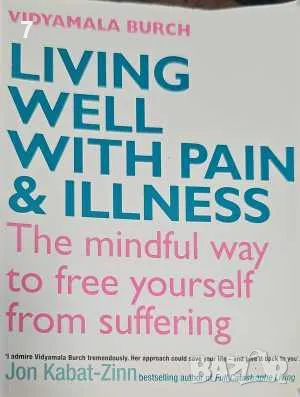 Living well with pain and illness-Vidyamala Burch