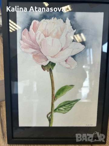 Ръчно рисувана акварелна картина – Божур, снимка 2 - Картини - 53190083