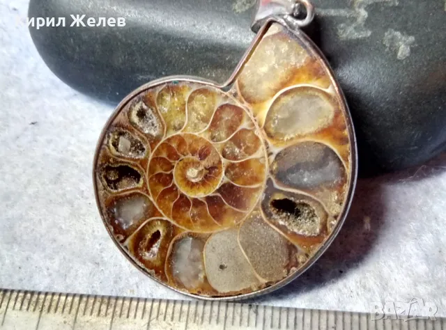 НАТУРАЛЕН ОПАЛИЗИРАН АМОНИТ в ПОСРЕБРЕН ОБКОВ Стар МЕДАЛЬОН РЪЧНА ЮВЕЛИРНА АРТ РАБОТА ПОЛИРАН 48807, снимка 9 - Антикварни и старинни предмети - 48818544
