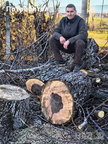 рязане на дърва за огрев и кастрене на дървета, снимка 8 - Други услуги - 51897190