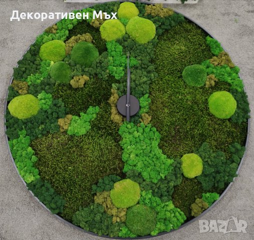 Дълъг декоративен плосък стабилизиран скандинавски естествен мъх, снимка 5 - Декорация за дома - 38501989