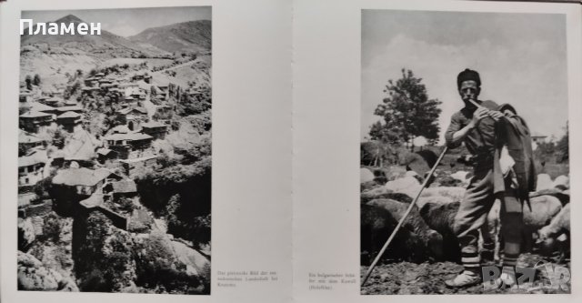 Bulgarien Kurt Haucke /Албум 1942/, снимка 10 - Антикварни и старинни предмети - 44047163