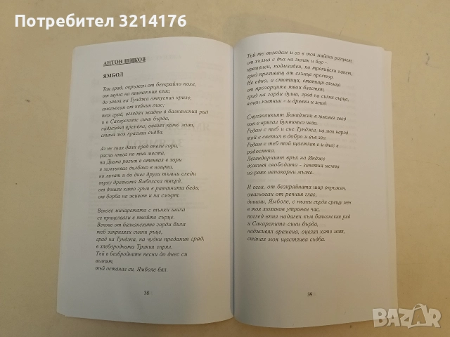 Възпев за Ямбол – Лазар Павлов и приятели (2011, Ямбол), снимка 3 - Специализирана литература - 52502112