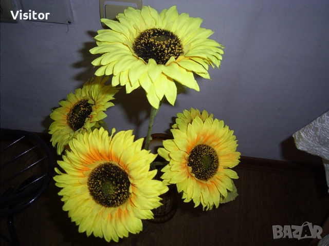 фотоапарат Ricoh Caplio RR30, снимка 17 - Фотоапарати - 52550381