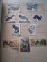 Каталог Съветски марки Флора и Фауна , снимка 8